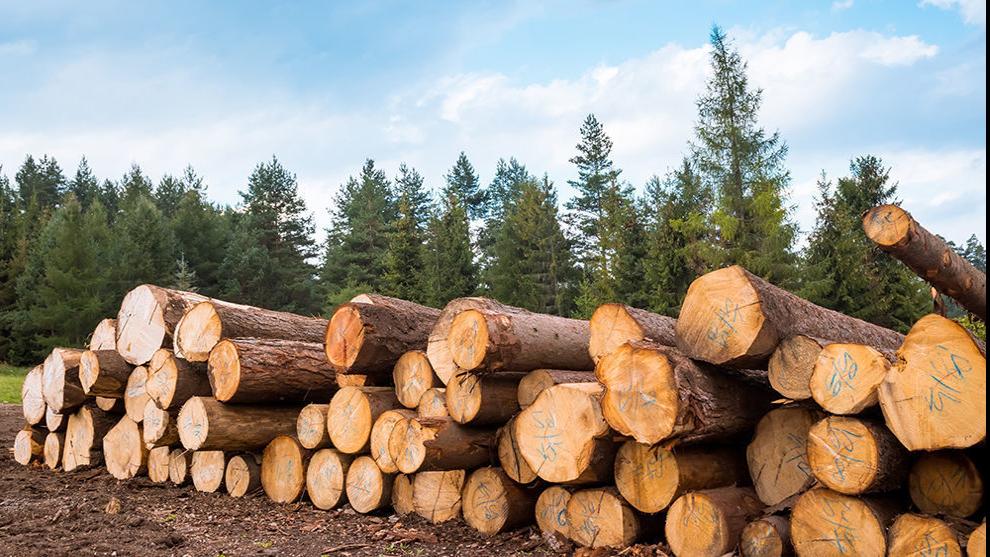 Montana timber land buyer plans to maintain public access State