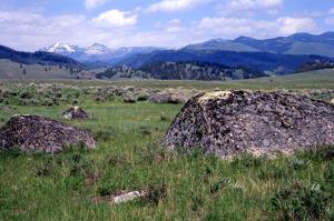 Hot question, cool topic: Were Yellowstone's past volcanic eruptions related to glaciation?
