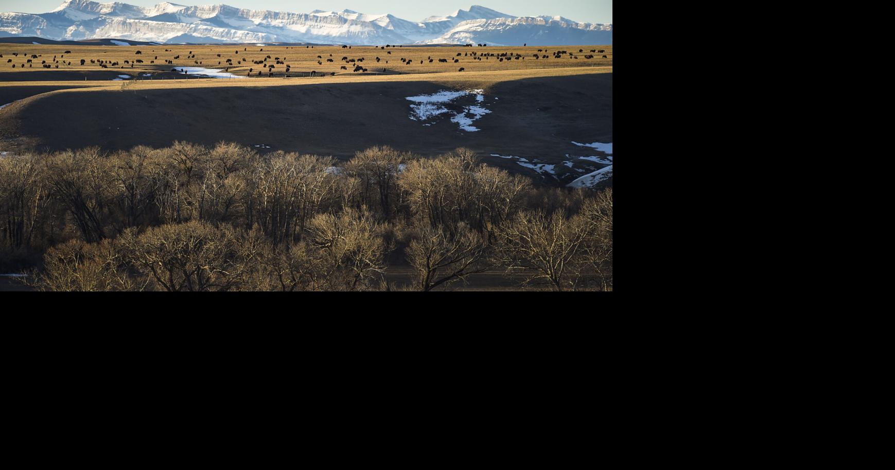 A Painful Battle: Did clinic flood this reservation with opioids? Or offer a haven?