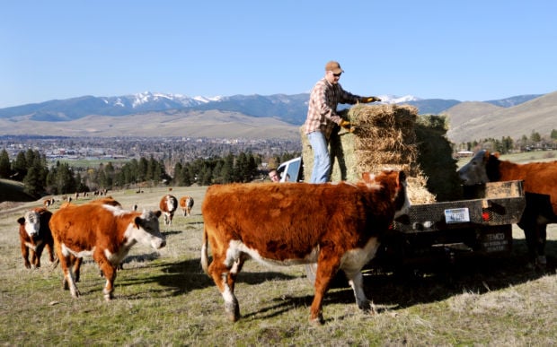 Just Above Missoula The Lines Balance Ranching City Slicking State Regional Missoulian Com