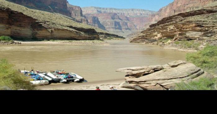 Researchers expand understanding of Grand Canyon food webs below dam Biology Diagrams
