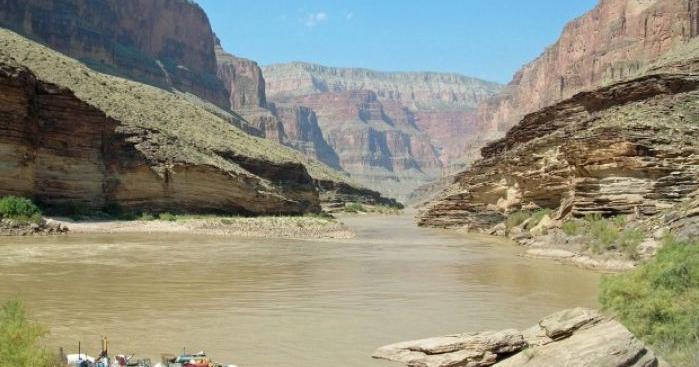 Researchers expand understanding of Grand Canyon food webs below dam Biology Diagrams
