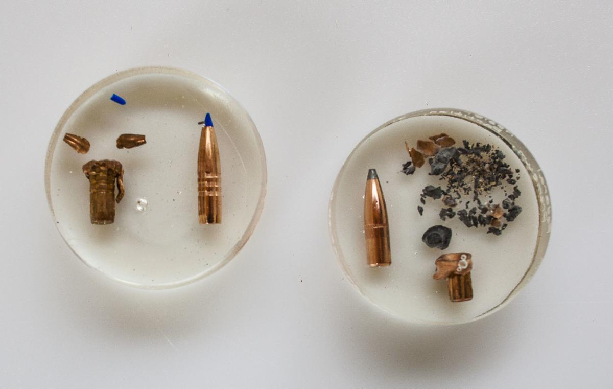 Copper v. Lead Hunters struggle to change Local News