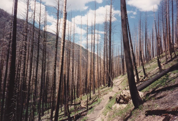 25 years ago, Canyon Creek blaze in Bob changed fire knowledge