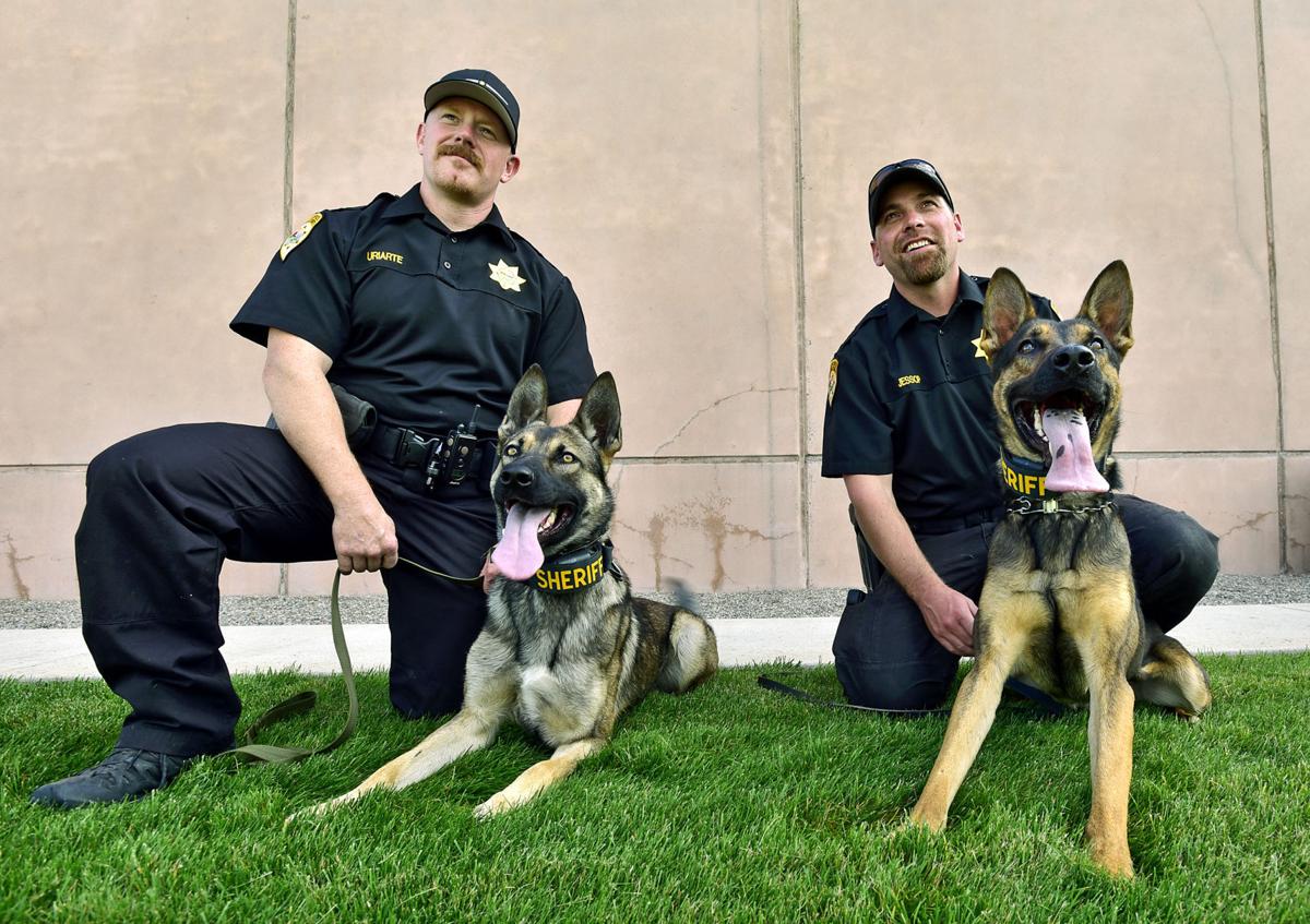 Missoula county sheriff s k 9 units staying busy after first months on