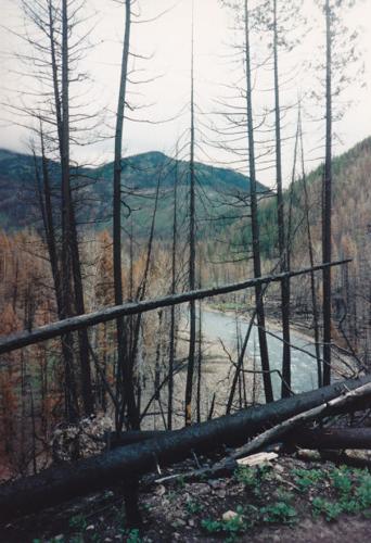 25 years ago, Canyon Creek blaze in Bob changed fire knowledge
