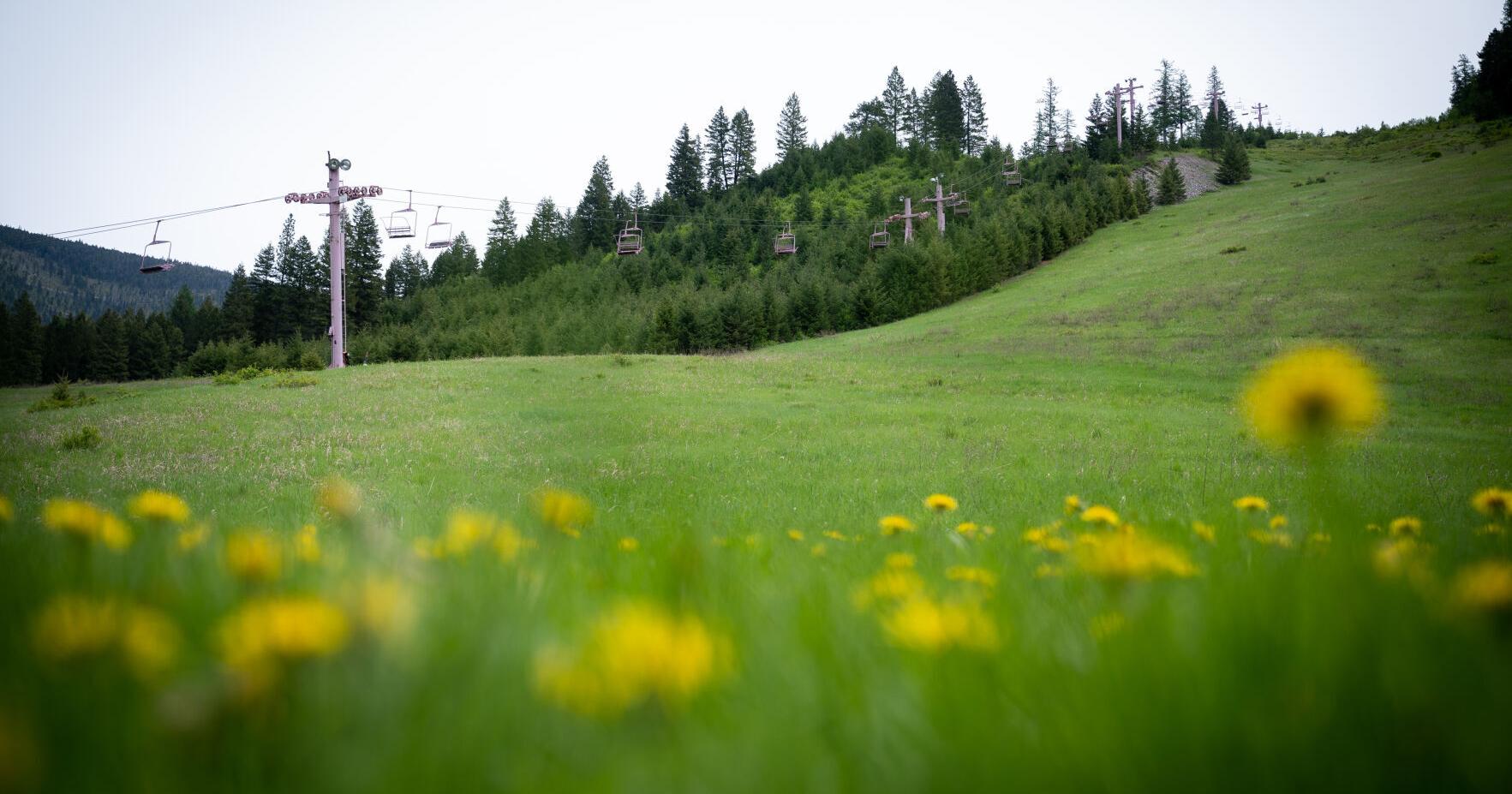Missoula County creates new department - Vimarsana News