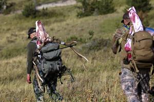 North-central Montana hunting forecast: Elk numbers strong, mule deer vary, pronghorn down