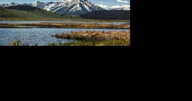 No pipeline for grayling: Feds abandon project proposed for wilderness area east of Lima - Vimarsana News