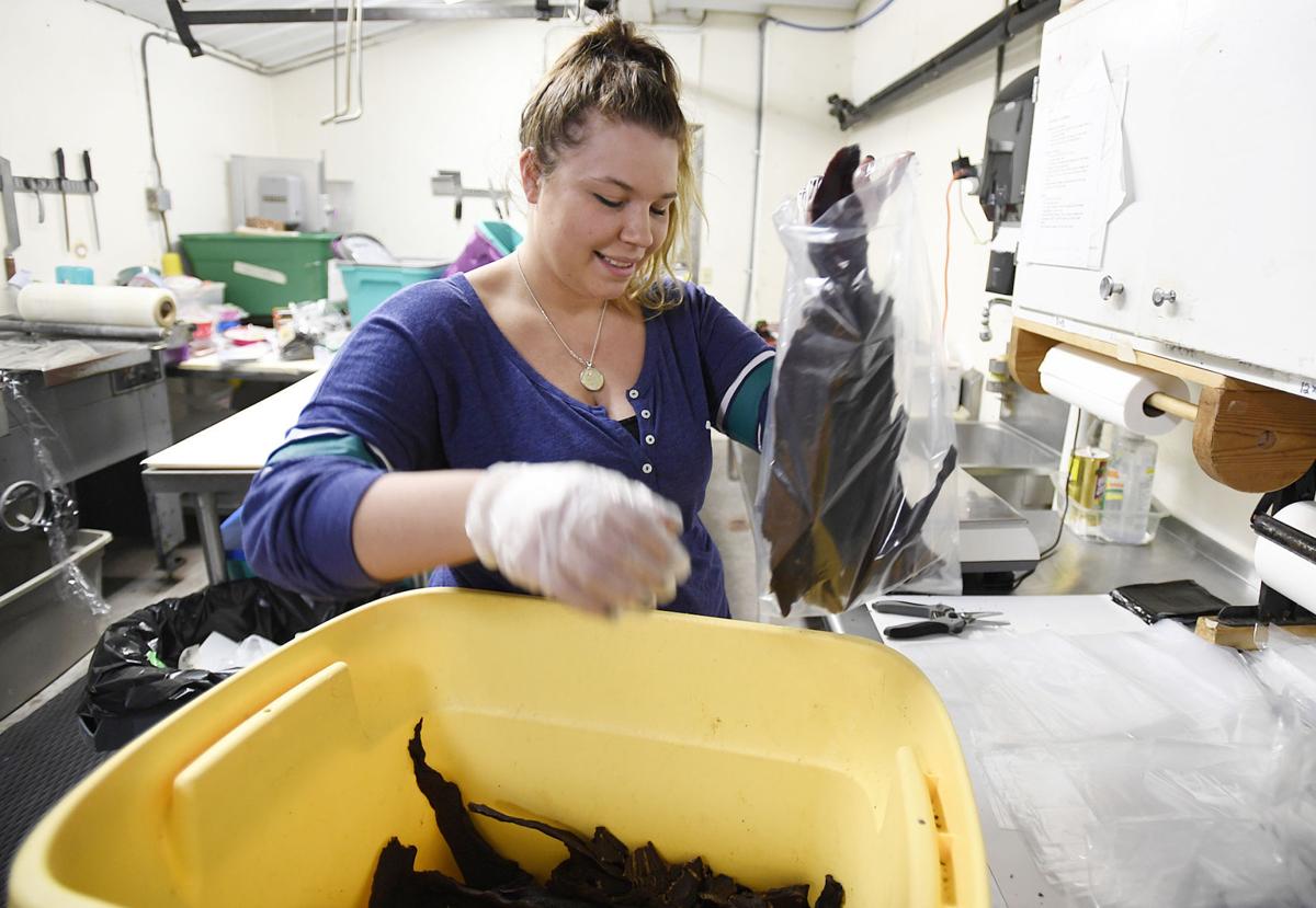 Retirement Gone Awry M S A Labor Of Love For Rollins Couple State Regional Missoulian Com