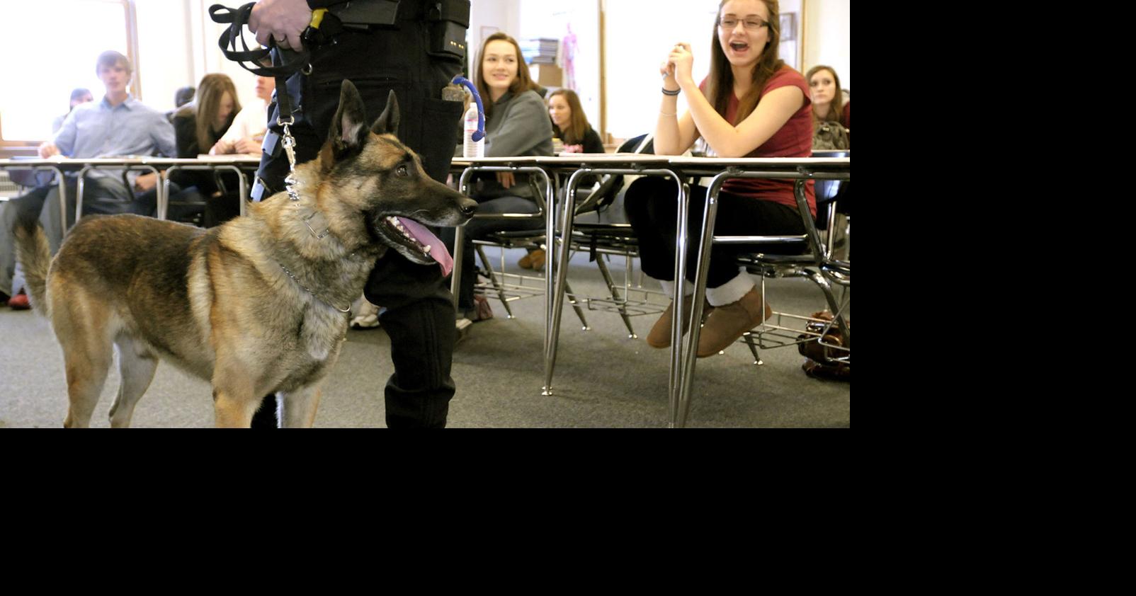 'The top dog' K9 police dog's passing mourned