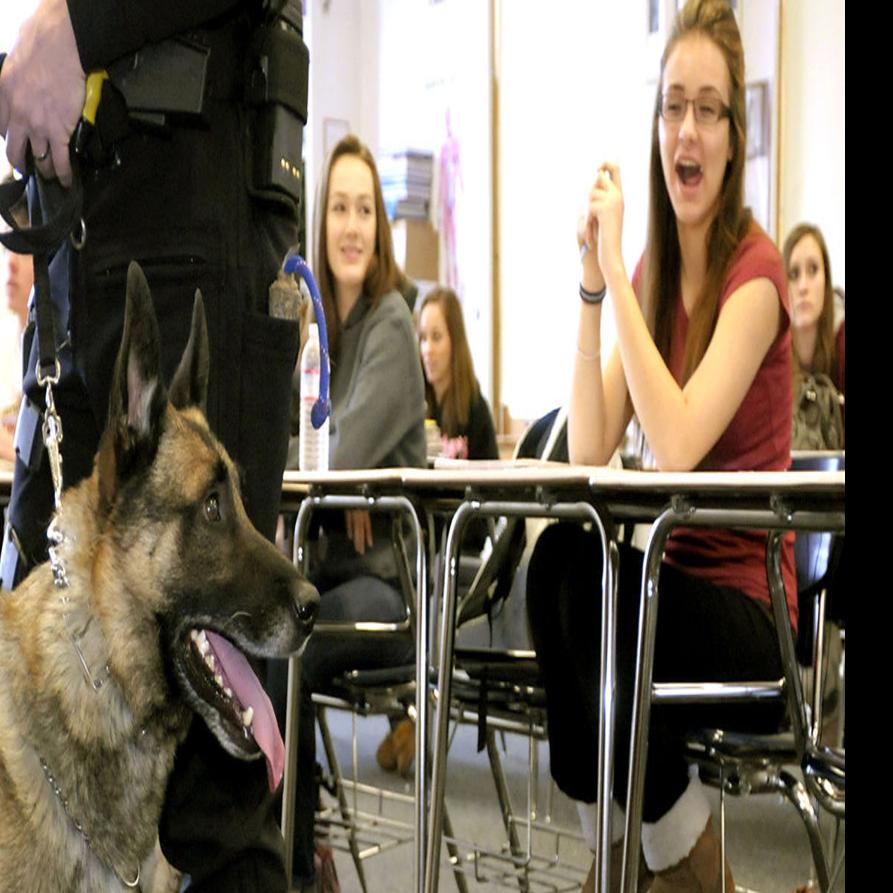 The Top Dog K9 Police Dog S Passing Mourned Local News Missoulian Com