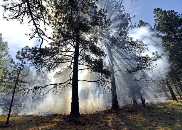 Prescribed burn