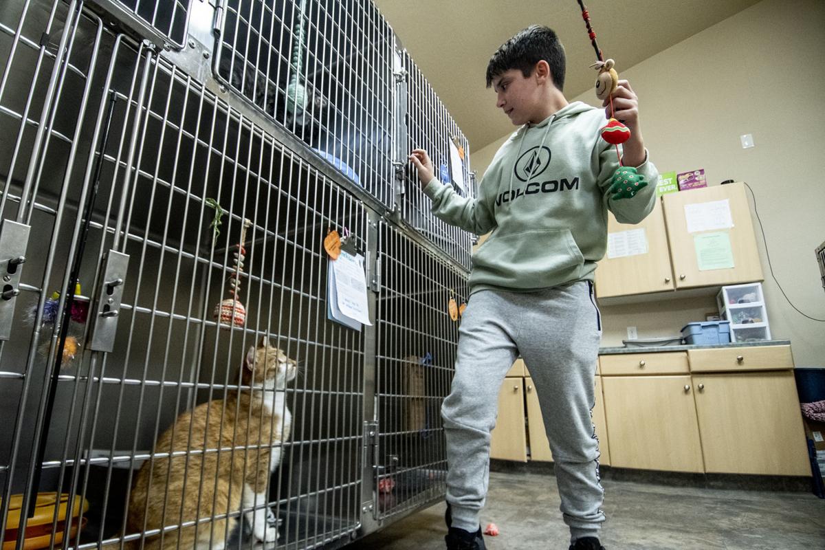 Humane Society Adoptions Pumpkin Spice Everything Now Includes