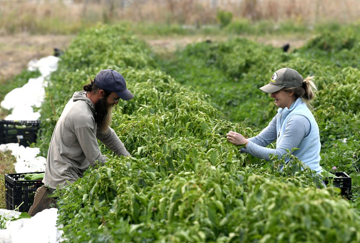 WATCH NOW Smoke to linger all week in Missoula area Local News
