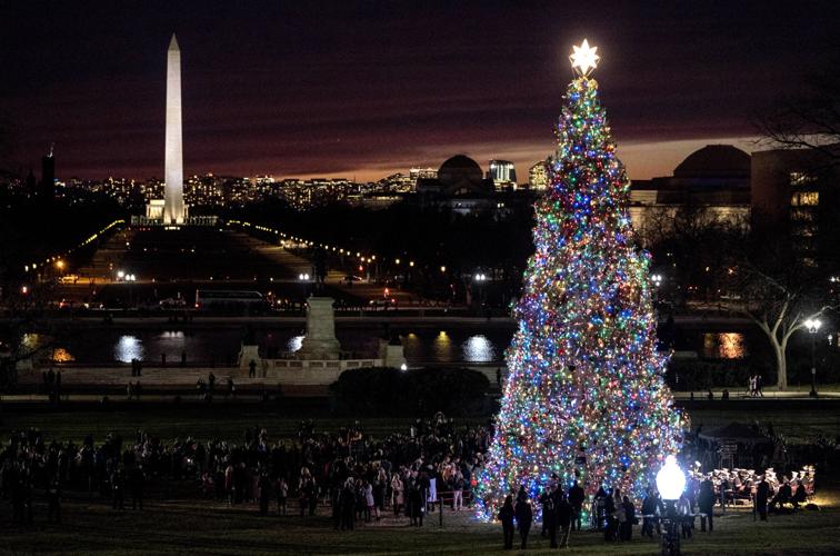 Troy Mt Christmas Tree Lighting Time 2022 End Of A Long Journey: Montana Engelmann Spruce Lights Up The Darkness At  U.s. Capitol | Local News | Missoulian.com