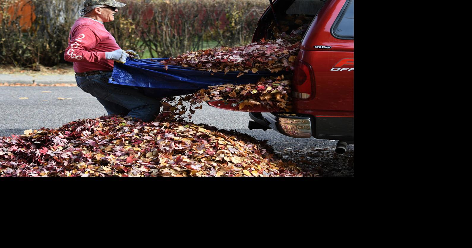 Missoula fall leaf pickup starts next week