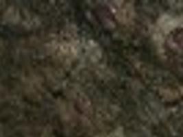 Bat That Lives In Wyoming May Be Listed As Endangered Because Of White Nose Syndrome State Regional Missoulian Com