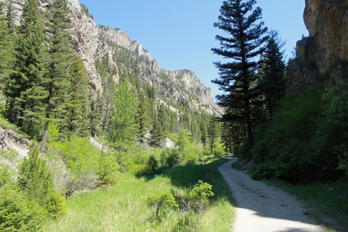 Get outside Beauty and ease make Trout Creek Canyon a halfday gem