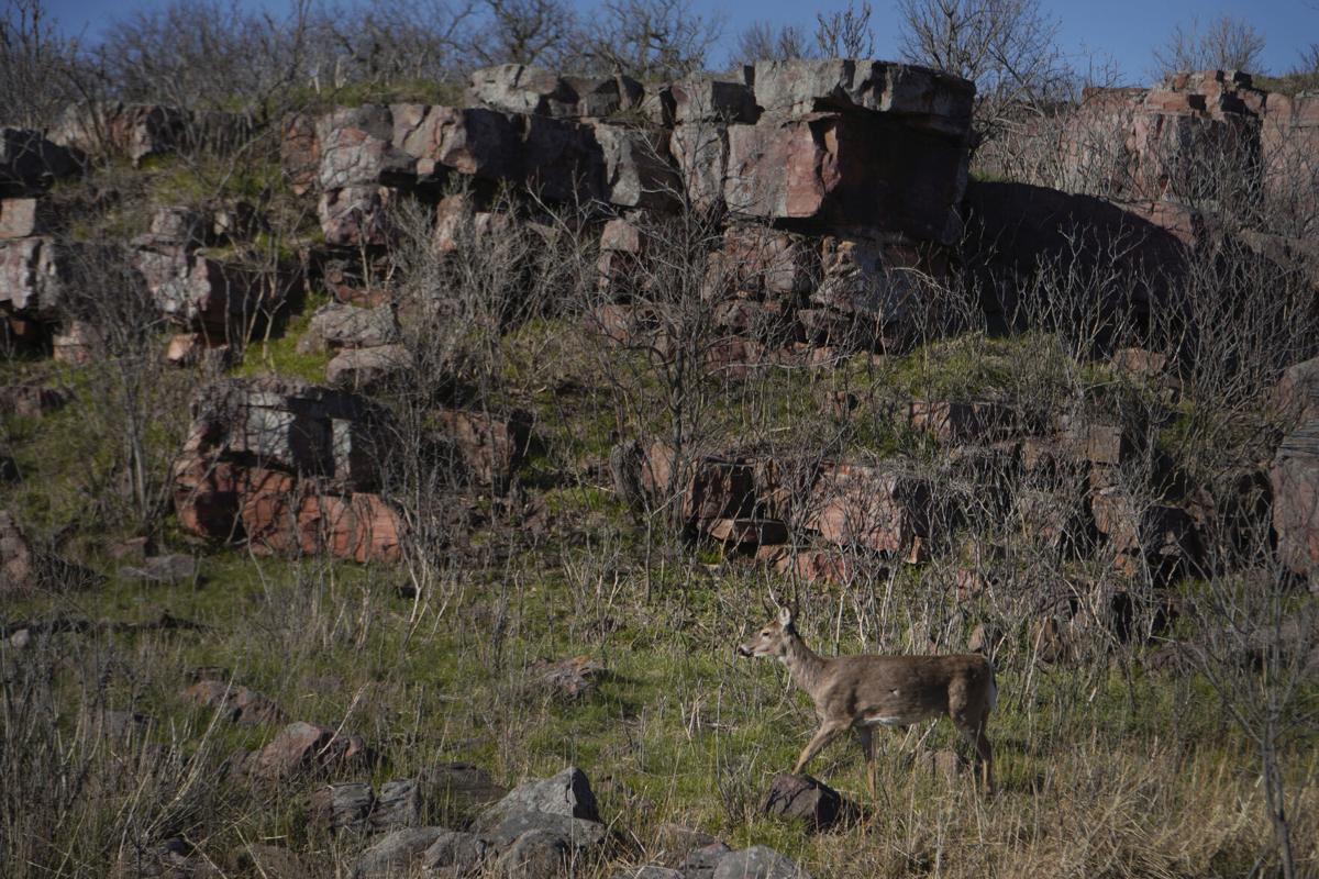 Does your dog have what it - Pipestone National Monument