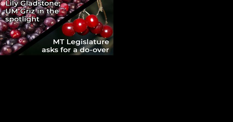 Huckleberry entertainment, chokecherry government - Vimarsana News