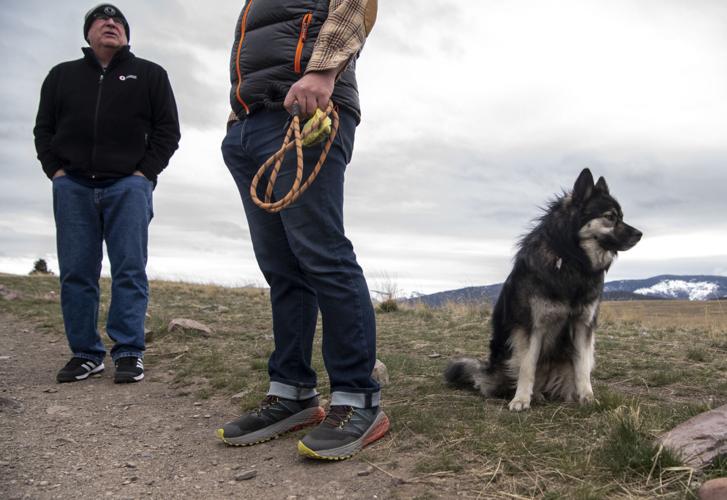 Missoula city officials Leash the dogs, save the phlox on Waterworks Hill