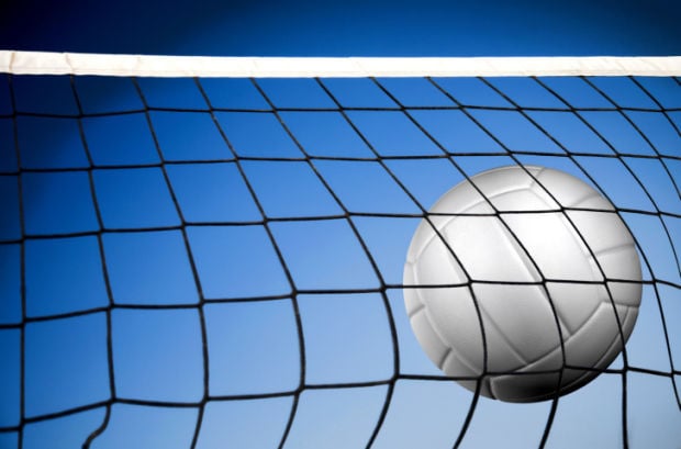 volleyball stockimage