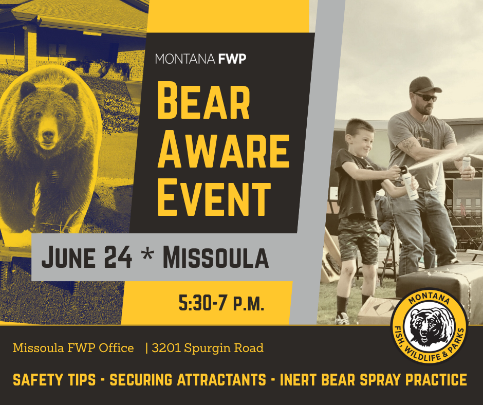 FWP to host bear aware event in Missoula June 24