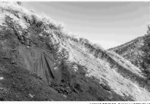 Mining critics blast feds' attempt to limit analysis of Sheep Creek Project