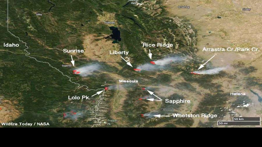 Distinctly Montana