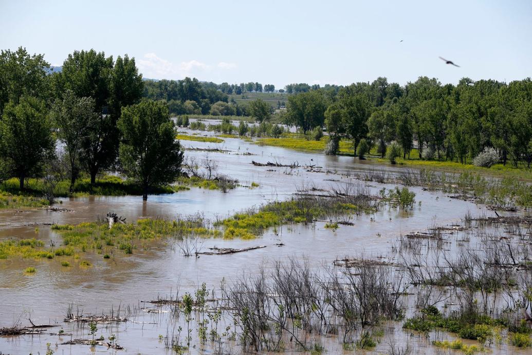 Here's what you need to know to prepare for flooding in Yellowstone County | State & Regional
