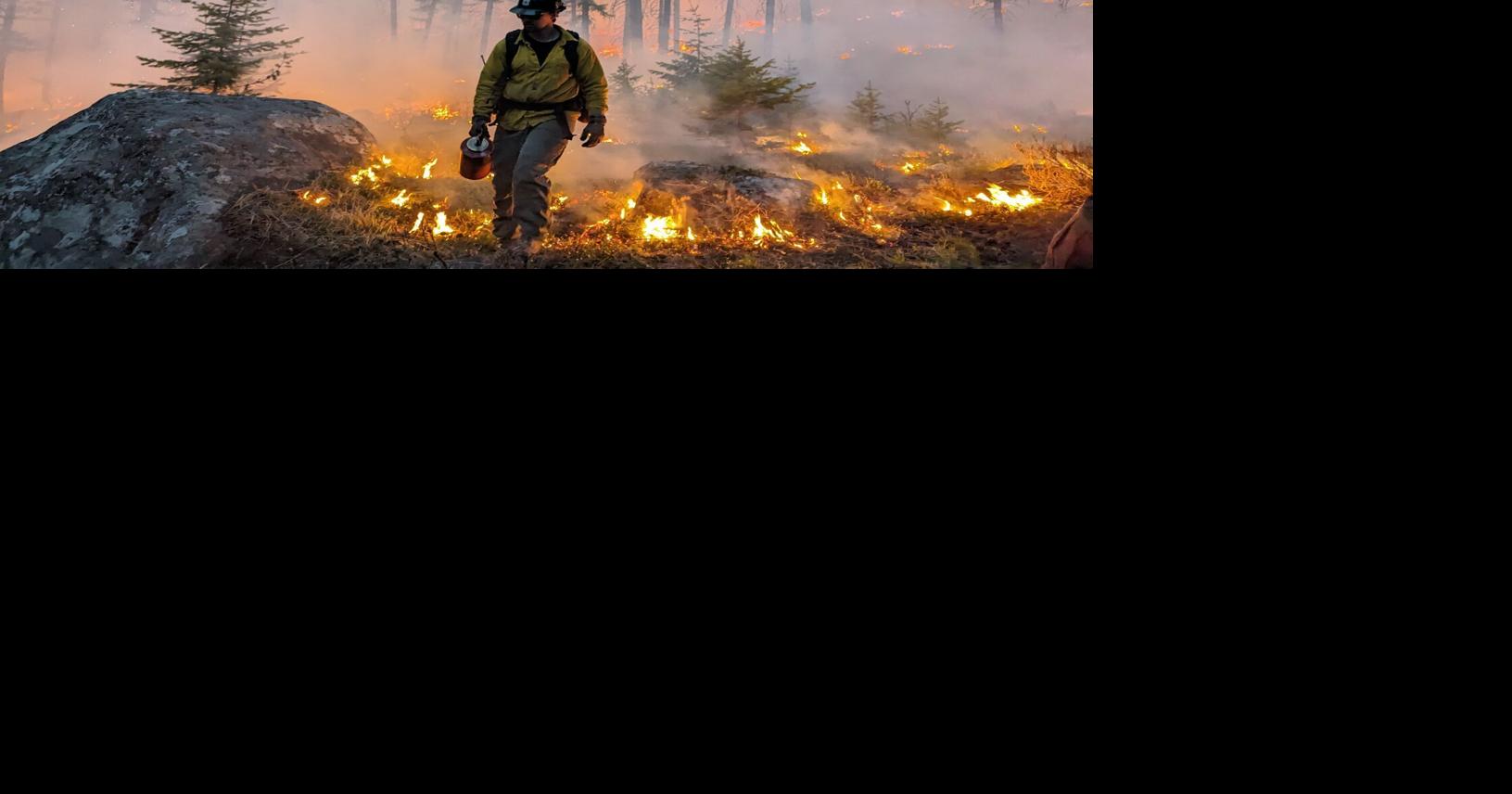 Image for Sheehy, Padilla want secure hazard pay for prescribed burns