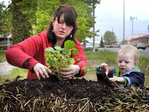 landscaping missoula straw an alternative to digging up boulevard local news missoulian com