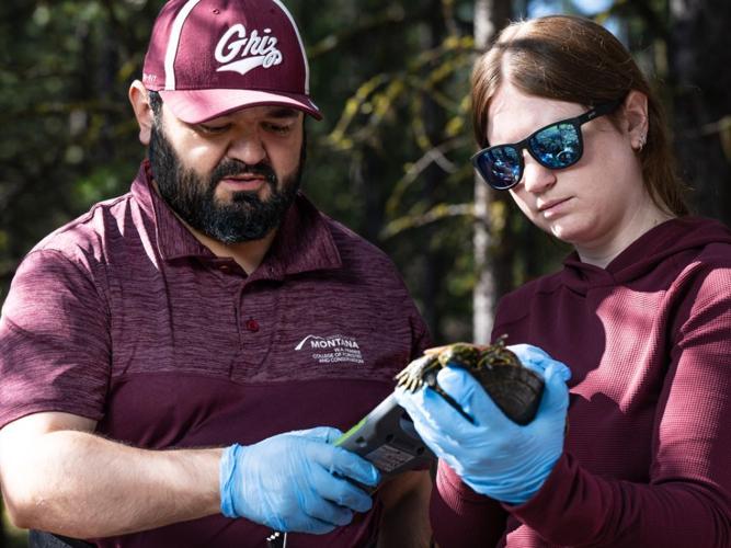 Western Painted Turtle Study Becomes a UM Classroom for Future Scientists