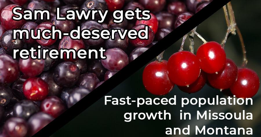 Missoulian editorial: Huckleberries to wild birds, chokecherries to snowbirds - Vimarsana News