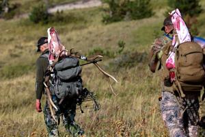 Report underlines rising cost of Montana hunters' access to private lands
