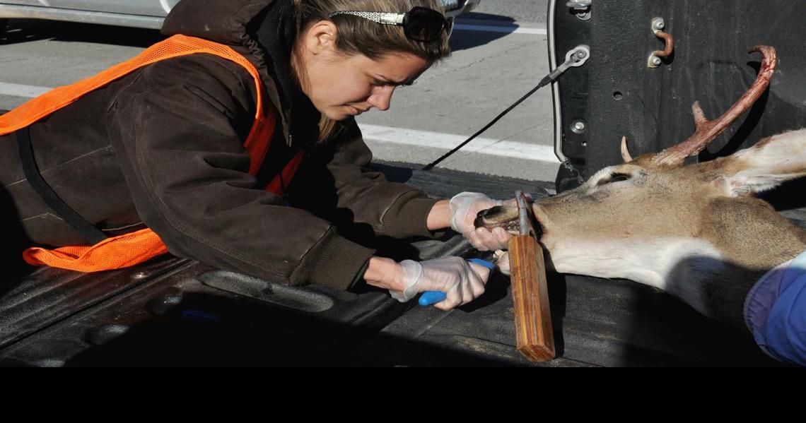 More women move into wildlife management jobs