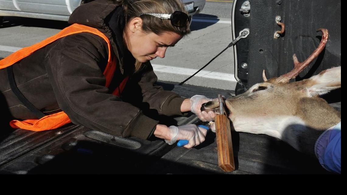 Wildlife management jobs in arkansas