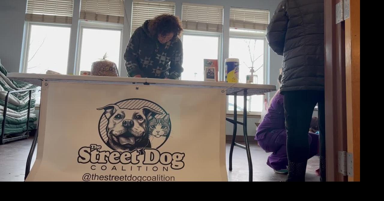 Missoula clinics be offering unfastened hospital therapy to pets of other people experiencing homelessness