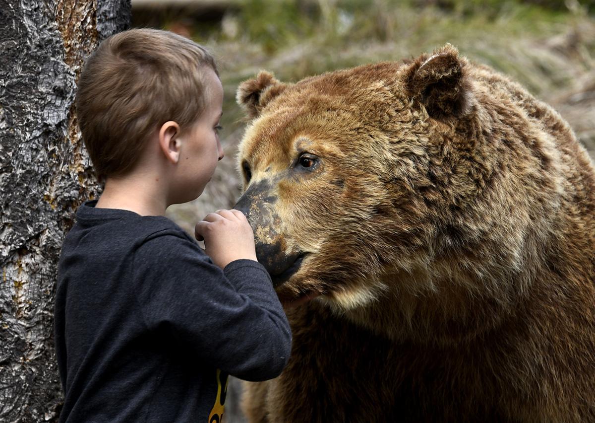 Bears In School Seeley Students Get Lessons In Bear Safety Local News Missoulian Com