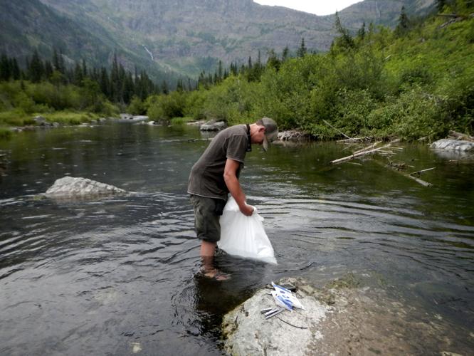 Watery garden of Eden: Lo, bull trout findeth refuge in remote