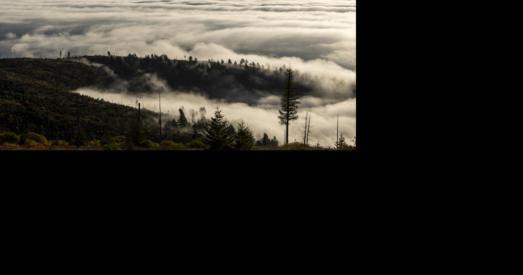 Inversion standalone 03