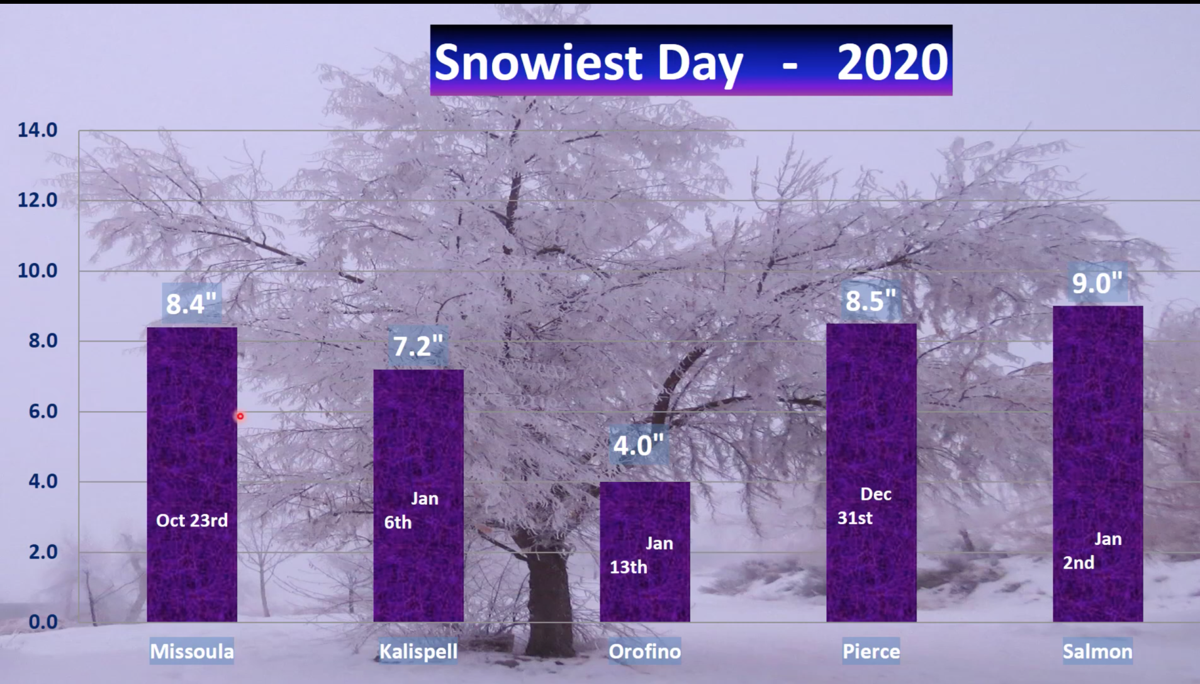 Snowiest day of the year