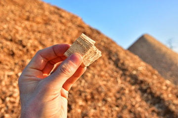 Wood chip woodchips