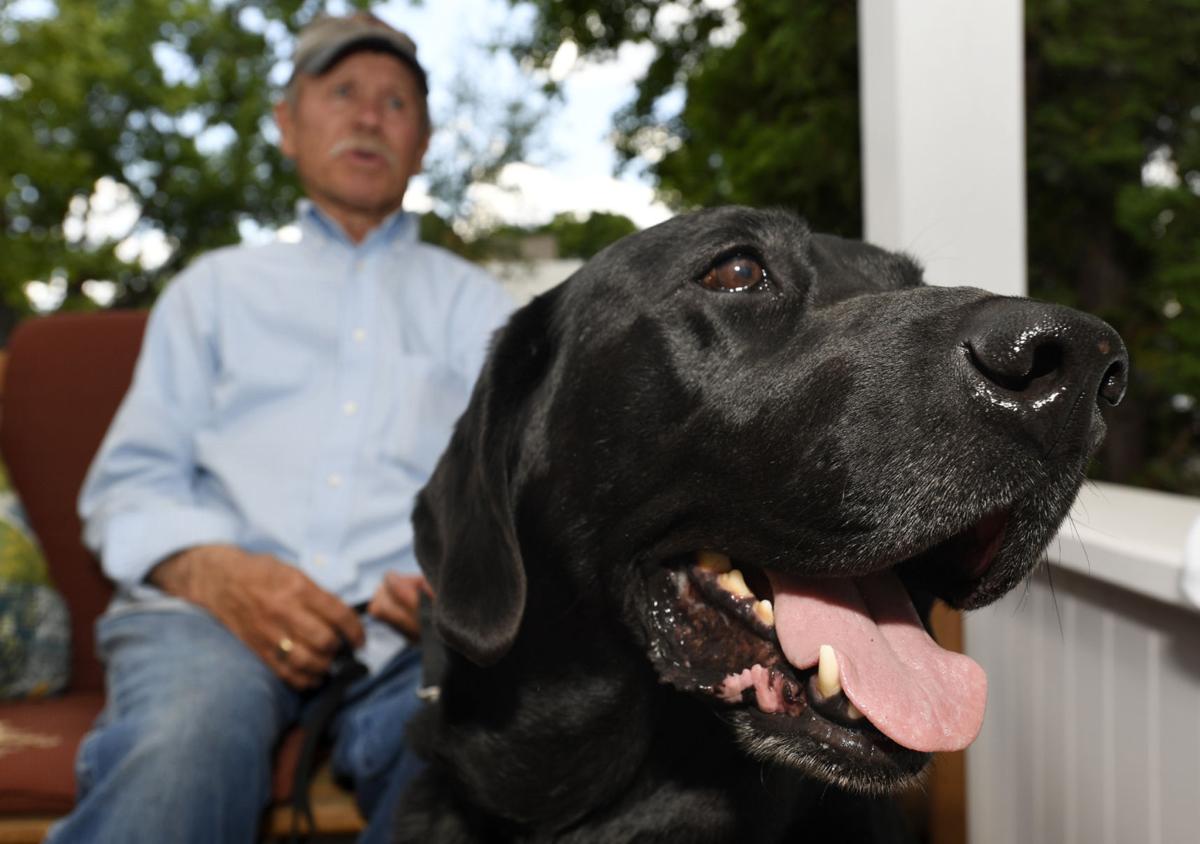 On His Mark Missoula Lab Succeeds At National Retrieving Competition Local News Missoulian Com