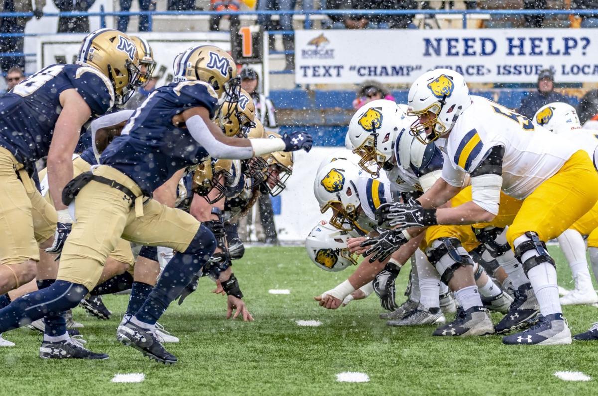 Montana State Bobcats add bigbodied contingent to 2019 football