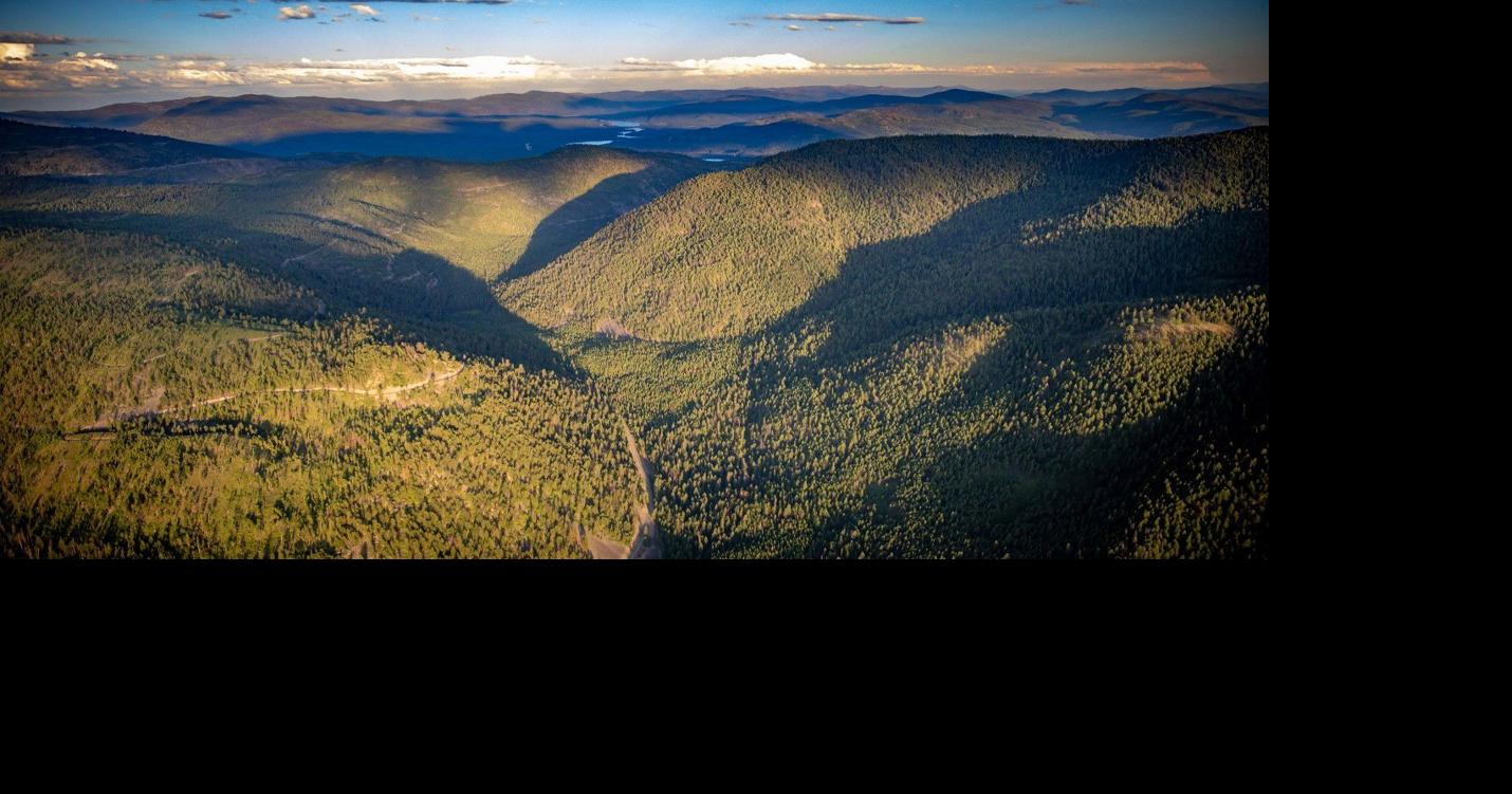 Green Diamond buys old Plum Creek timberland