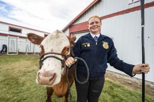 'It's just fun': Local kids show steers at the Ravalli County Fair