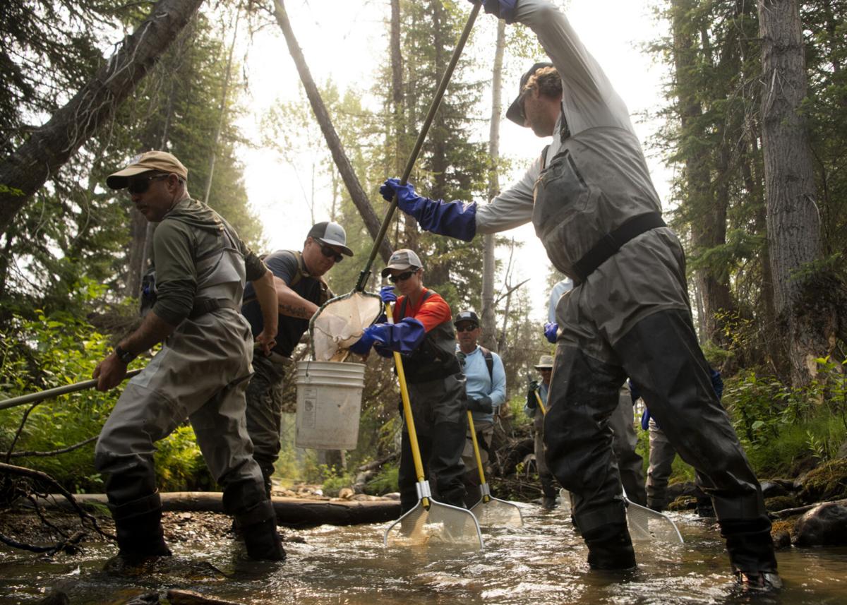 Ninemile Creek restoration 05