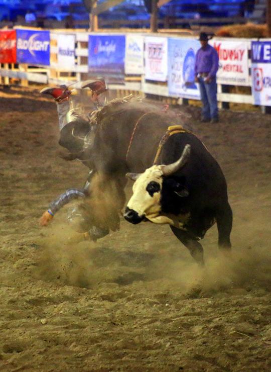 June events calendar Flathead valley